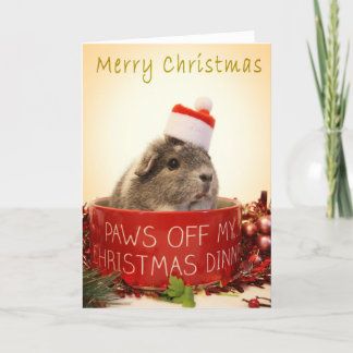kerstkaart voor cavia's feestdagen kaart