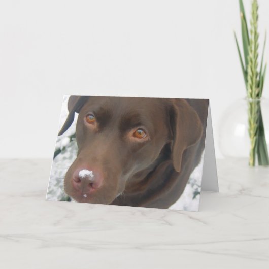 kerstkaart voor feestdagen - Chocolate Labrador Do (Voorkant)
