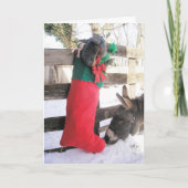 Kerstkaart "Voor mij?" Feestdagen Kaart (Voorkant)