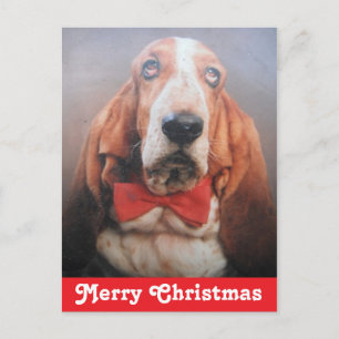 Kerstkaart vrolijk kerstfeest Basset Hound Feestdagenkaart