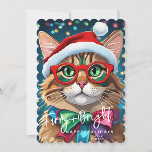 Kerstkaarten, Donzig en Fel Kleurrijke Kat Feestdagenkaart
