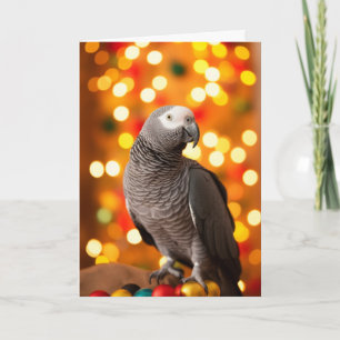Kerstkaarten met Afrikaanse Grijze Papegaai Feestdagen Kaart