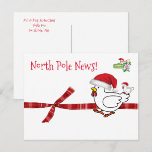 Kerstkaarten Noordpool Kip Briefkaart