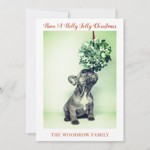 Kerstkaarten voor honden