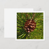 Kerstkaartenscherm Pine Cone-foto Feestdagenkaart (Voorkant / Achterkant)