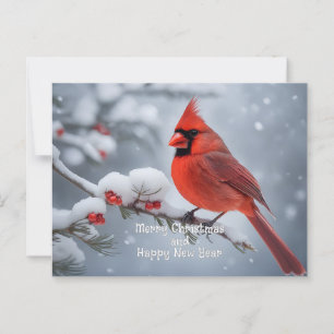 kerstkardinaal briefkaart
