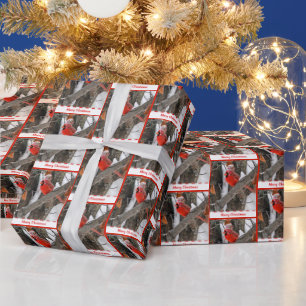 Kerstkardinaal met Pet van de Stand Cadeaupapier