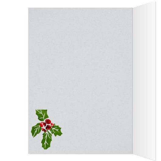 kerstkat (Binnen (Links))