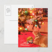 kerstkat-Briefkaart Feestdagenkaart (Voorkant / Achterkant)