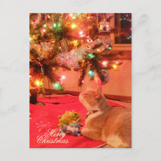 kerstkat-Briefkaart Feestdagenkaart