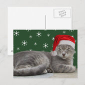 kerstkat-Briefkaart Feestdagenkaart (Voorkant / Achterkant)