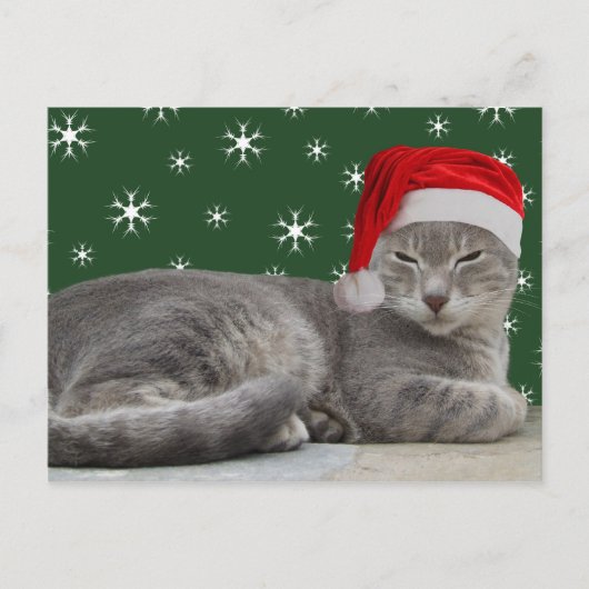 kerstkat-Briefkaart Feestdagenkaart (Voorkant)