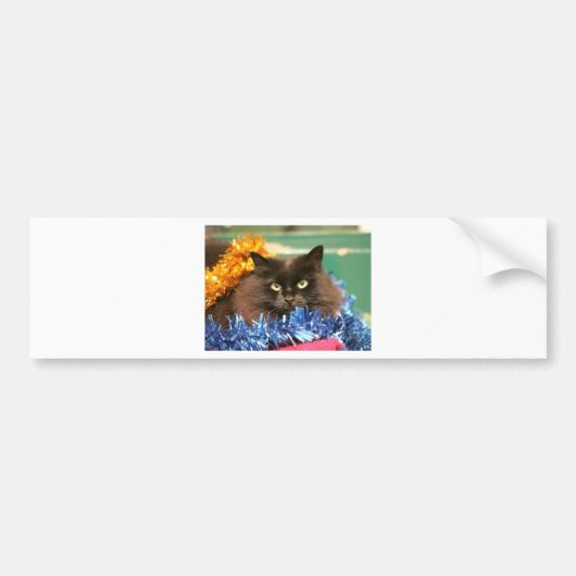 kerstkat bumpersticker (Voorkant)