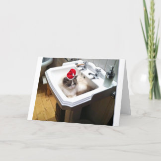 kerstkat feestdagen kaart
