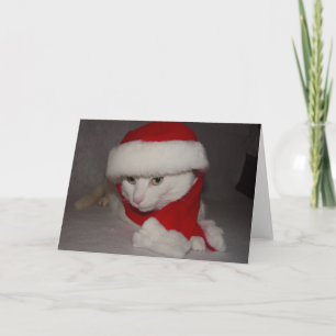 kerstKat Feestdagen Kaart