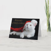 kerstKat Feestdagen Kaart (Voorkant)