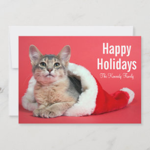 kerstkat feestdagenkaart