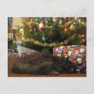 kerstkat feestdagenkaart