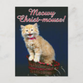 kerstkat feestdagenkaart (Voorkant)