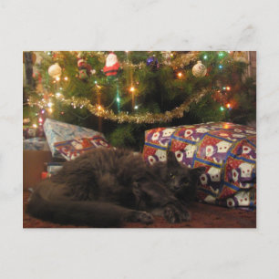 kerstkat feestdagenkaart