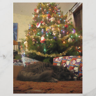 Kerstkat Flyer