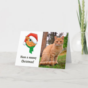 Kerstkat Foto Feestdagen Kaart