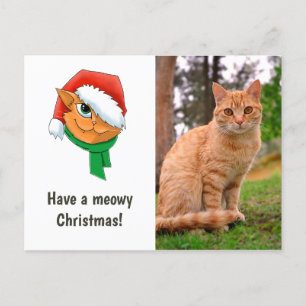 Kerstkat Foto Feestdagenkaart