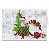 kerstkat-groet (Voorkant Horizontaal)