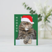 Kerstkat Humbug Foto Briefkaart (Staand voorkant)