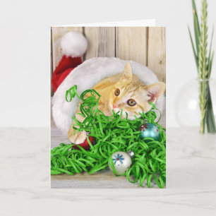 Kerstkat in pet feestdagen kaart