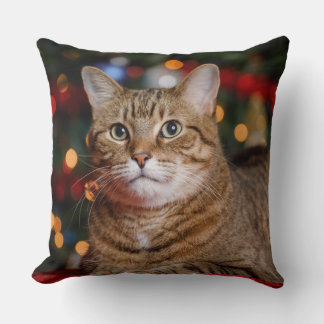 kerstkat kussen
