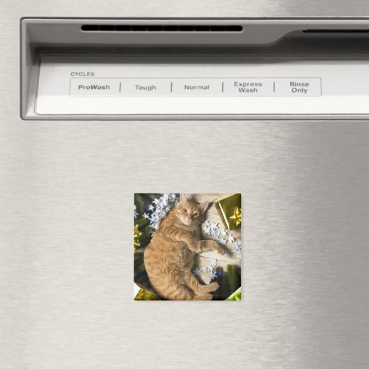 kerstKat Magneet (Insitu (Vaatwasser))