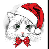 kerstkat trucker pet