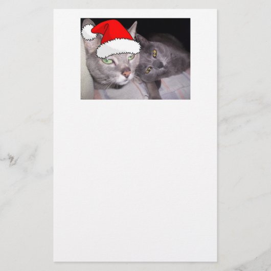 kerstkatten briefpapier (Voorkant)