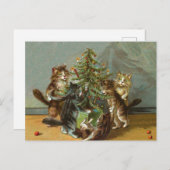 Kerstkatten Feestdagenkaart (Voorkant / Achterkant)