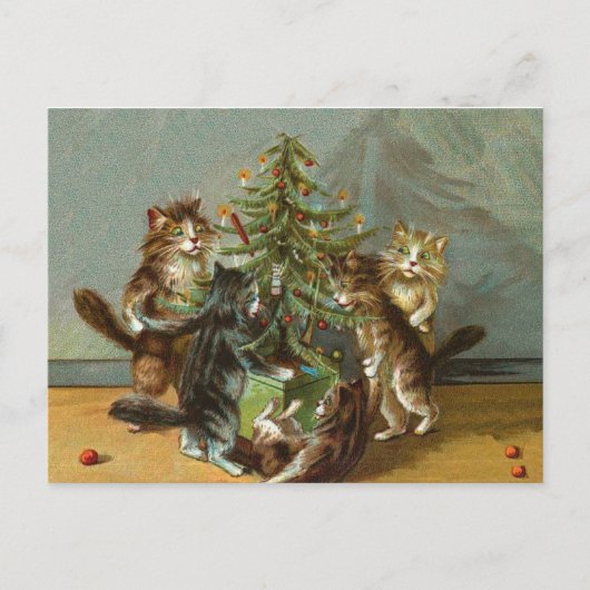 Kerstkatten Feestdagenkaart (Voorkant)
