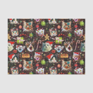 Kerstkatten in de ruimtevaart, sterren Funny Holid Tissuepapier