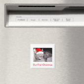 kerstkatten magneet (Insitu (Vaatwasser))