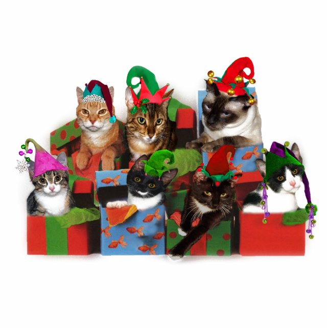 kerstkatten staand fotobeeldje  (Voorkant)