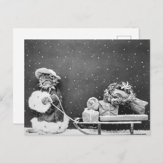 kerstkerstkerstkerstkerstkerstkerstkat met een ho feestdagenkaart (Voorkant / Achterkant)