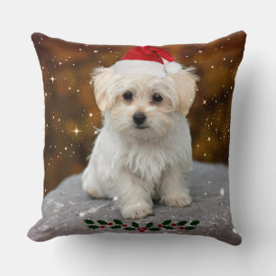 kerstkerstkerstkerstkerstkerstman Maltese puppy Kussen