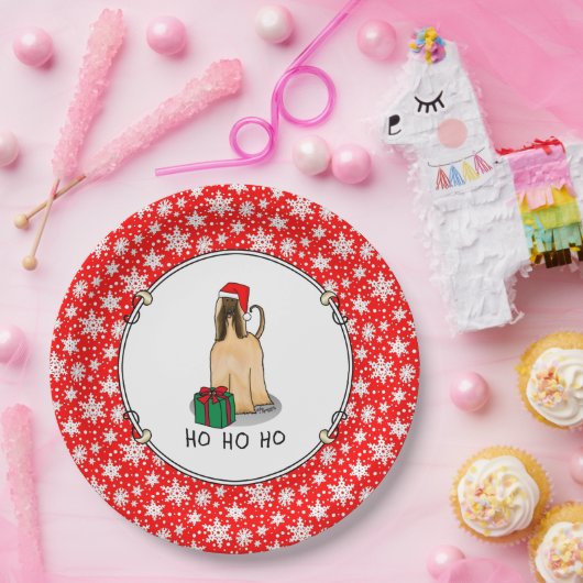 Kerstkerstkerstkerstkerstkerstman met Afghaanse ho Papieren Bordje (Feest)