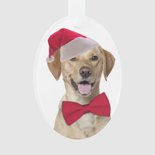 Kerstkerstversiering in Santa Lab Ornament (voorkant)