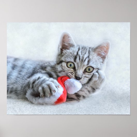 Kerstkeuten Poster (Voorkant)