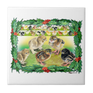 Kerstkip Tegeltje