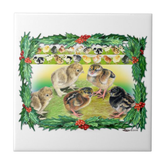 Kerstkip Tegeltje (Voorkant)