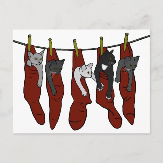 KerstKittens | Chatons de Nöel Briefkaart (Voorkant)