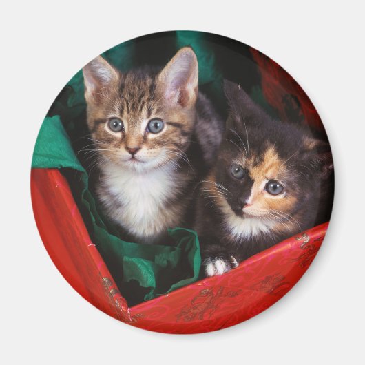 KerstKittens Magneet (Voorkant)