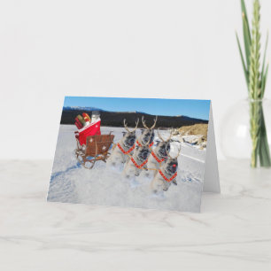 Kerstknuppel Honden die een Slaapbare Vakantiekaar Feestdagen Kaart