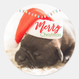 Kerstknuppel in Santa Hat met kerstlampjes Ronde Sticker